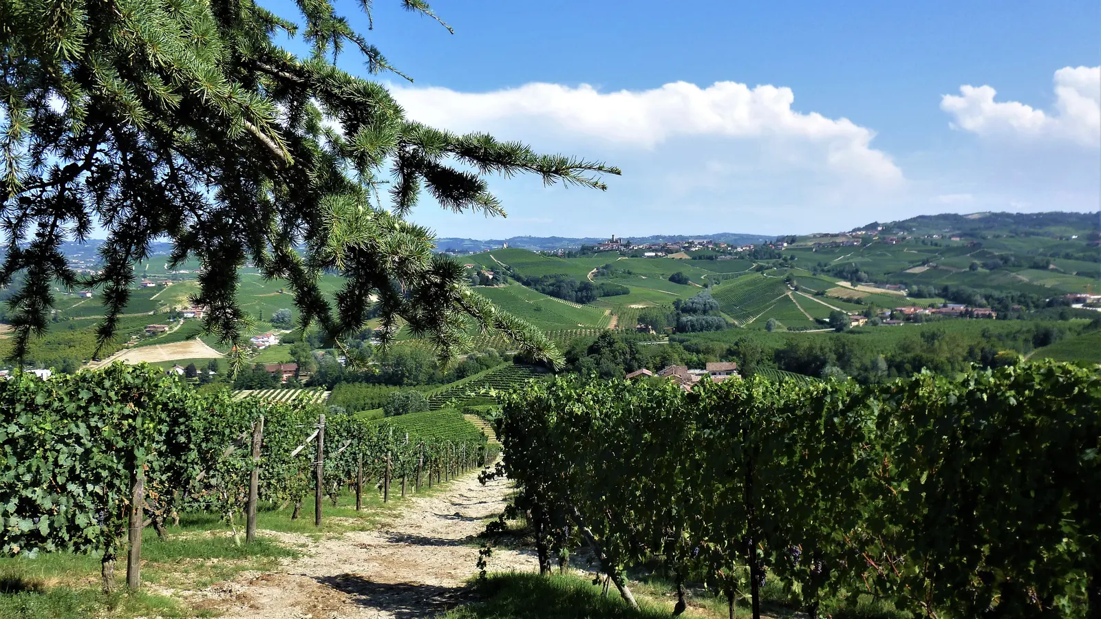 Die Langhe mit dem Rad: Anstiege, Weinberge und Dörfer