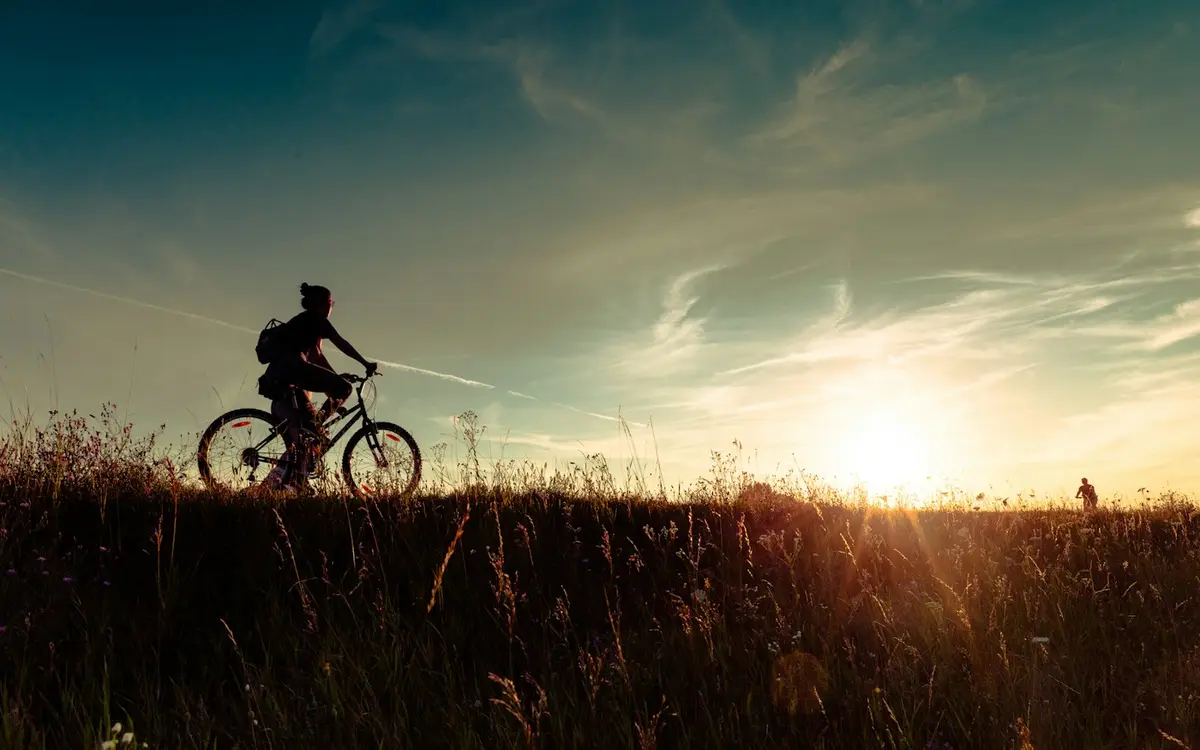 Zone 2 and Aerobic Base: Why Riding Slower Makes You Faster