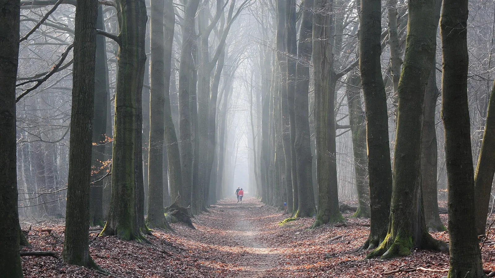 Come scegliere il percorso per correre perfetto: fondo, dislivello e sicurezza